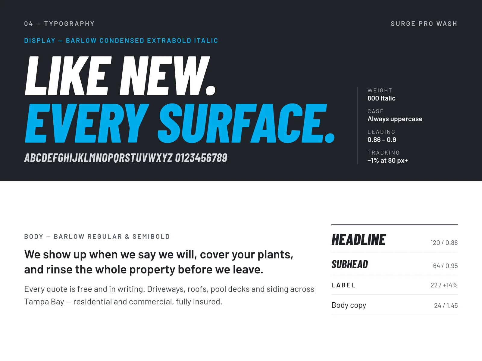 Surge Pro Wash typography system slide showing the display and body typefaces and the type scale.